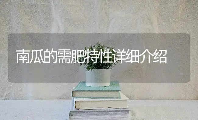 南瓜的需肥特性详细介绍 | 蔬菜种植