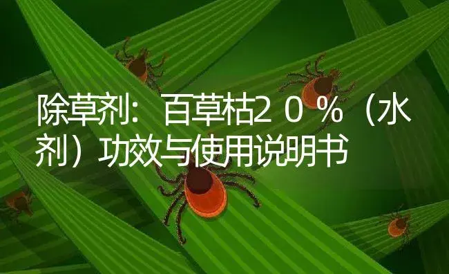 除草剂：百草枯20%（水剂） | 适用防治对象及农作物使用方法说明书 | 植物农药