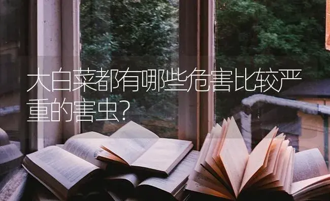 大白菜都有哪些危害比较严重的害虫？ | 蔬菜种植