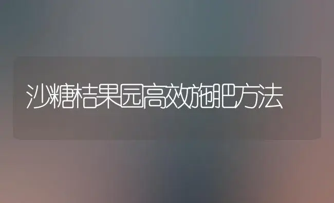 沙糖桔果园高效施肥方法 | 植物肥料