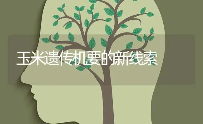 玉米遗传机要的新线索 | 蔬菜种植