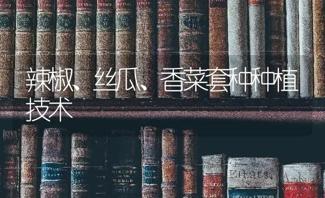 辣椒制做土农药的方法 | 蔬菜种植