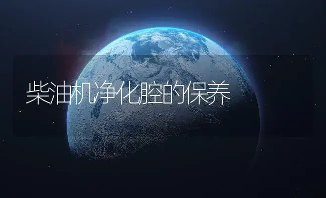 柴油机净化腔的保养 | 农资农机