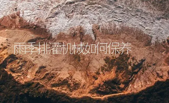 雨季排灌机械如何保养 | 农资农机