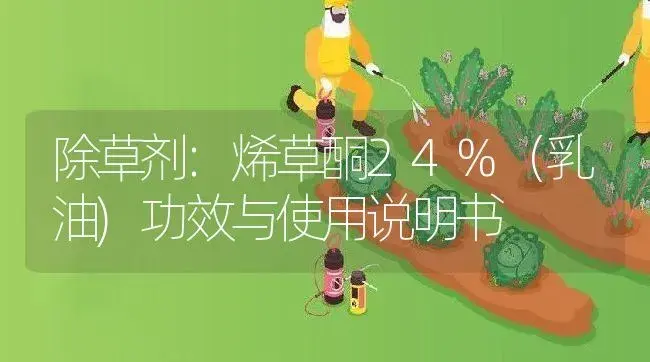 除草剂：烯草酮24%（乳油) | 适用防治对象及农作物使用方法说明书 | 植物农药