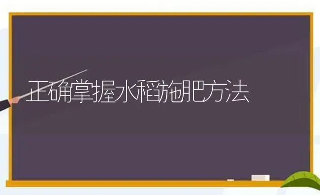 正确掌握水稻施肥方法 | 植物肥料