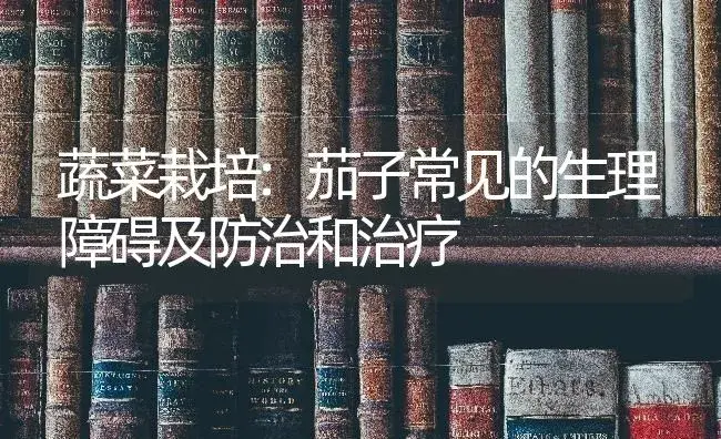 蔬菜栽培:茄子常见的生理障碍及防治和治疗 | 蔬菜种植