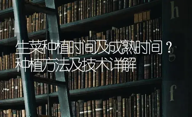 生菜种植时间及成熟时间？种植方法及技术详解 | 蔬菜种植