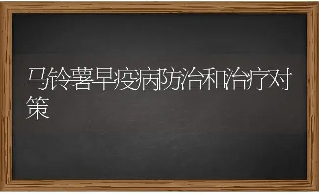 马铃薯早疫病防治和治疗对策 | 蔬菜种植