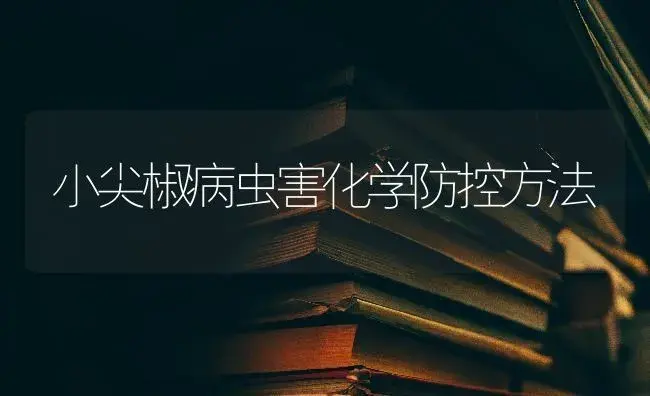 小尖椒病虫害化学防控方法 | 蔬菜种植