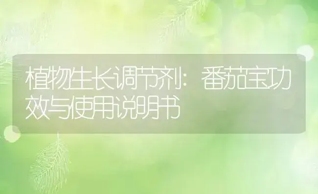 植物生长调节剂：番茄宝 | 适用防治对象及农作物使用方法说明书 | 植物农药