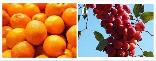 爱吃橘子的看过来。常吃有这6大好处；不能和什么搭配一起吃？