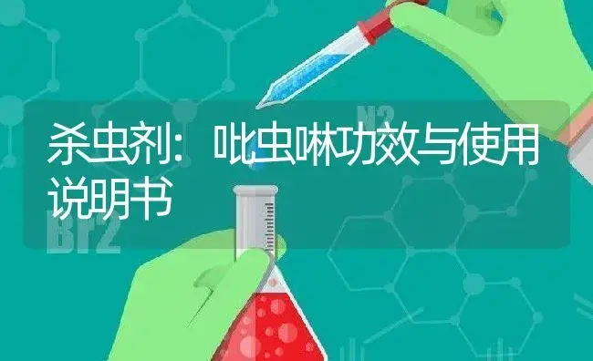 杀虫剂：吡虫啉 | 适用防治对象及农作物使用方法说明书 | 植物农药