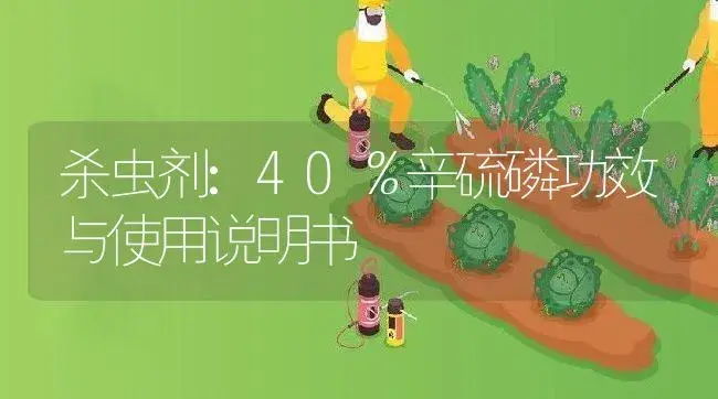 杀虫剂：40％辛硫磷 | 适用防治对象及农作物使用方法说明书 | 植物农药