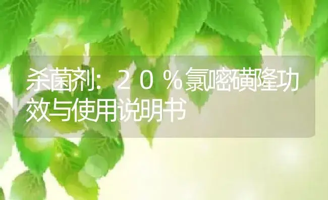 杀菌剂：20%氯嘧磺隆 | 适用防治对象及农作物使用方法说明书 | 植物农药