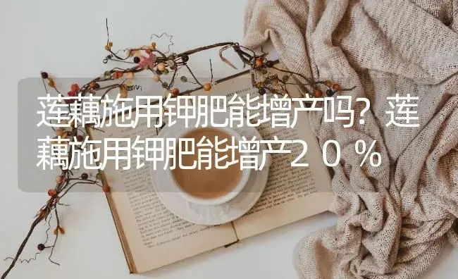 莲藕施用钾肥能增产吗？莲藕施用钾肥能增产20% | 蔬菜种植