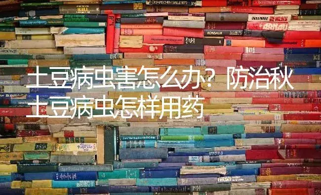 土豆病虫害怎么办？防治秋土豆病虫怎样用药 | 蔬菜种植