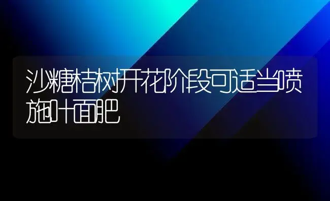 沙糖桔树开花阶段可适当喷施叶面肥 | 植物肥料