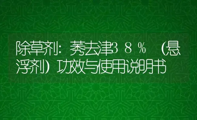 除草剂：莠去津38%（悬浮剂） | 适用防治对象及农作物使用方法说明书 | 植物农药