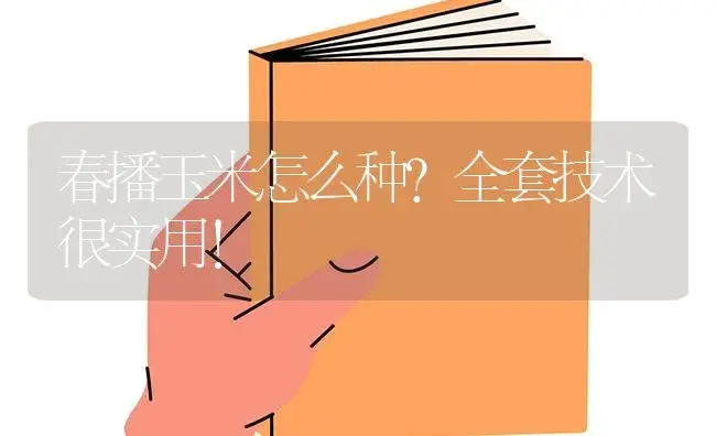 春播玉米怎么种？全套技术很实用！ | 蔬菜种植