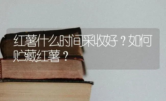 红薯什么时间采收好？如何贮藏红薯？ | 蔬菜种植