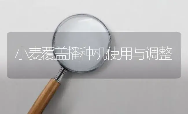 小麦覆盖播种机使用与调整 | 农资农机