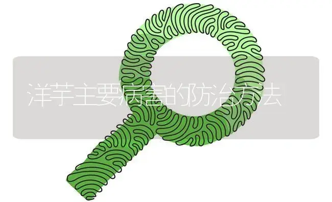 洋芋主要病害的防治方法 | 植物病虫害