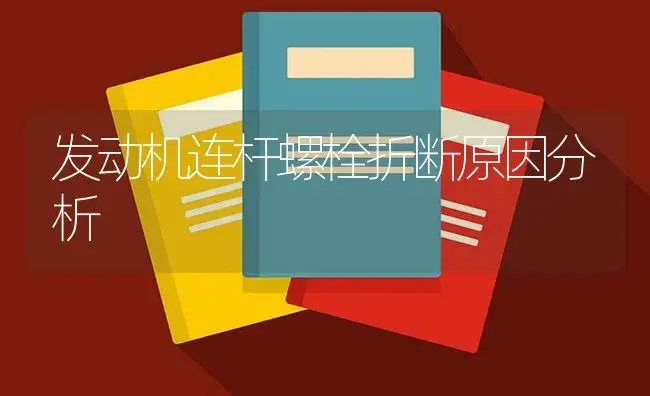 发动机连杆螺栓折断原因分析 | 农资农机