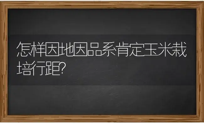 怎样因地因品系肯定玉米栽培行距？ | 蔬菜种植