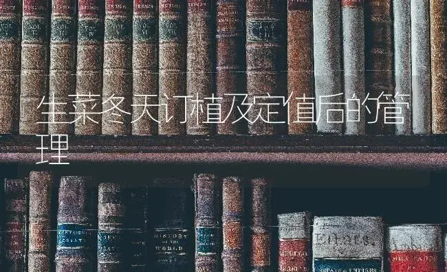 蔬菜栽培:病虫防治和治疗：大面积茄子卷叶可能是茶黄螨为害 | 蔬菜种植