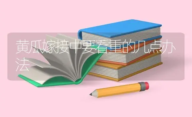 黄瓜嫁接中要看重的几点办法 | 蔬菜种植