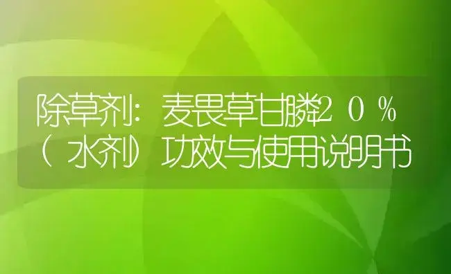 除草剂：麦畏草甘膦20%(水剂) | 适用防治对象及农作物使用方法说明书 | 植物农药