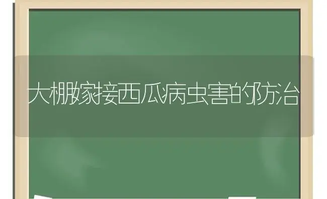 大棚嫁接西瓜病虫害的防治 | 植物病虫害