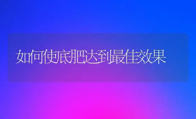 如何使底肥达到最佳效果 | 植物肥料