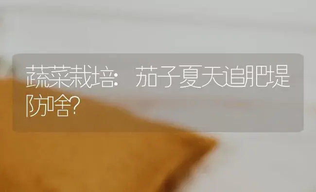 蔬菜栽培:茄子夏天追肥堤防啥？ | 蔬菜种植