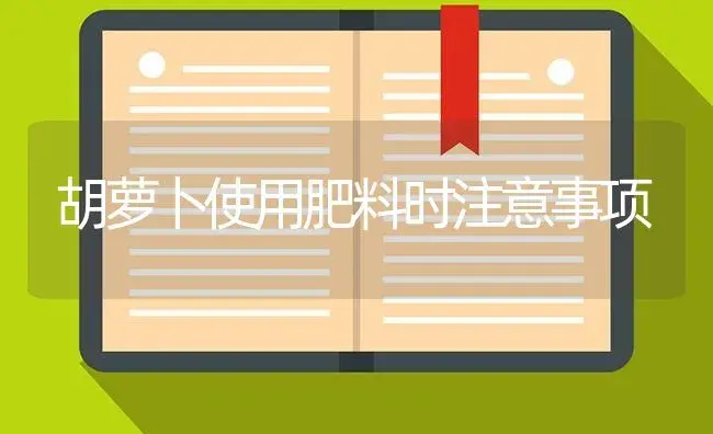 胡萝卜使用肥料时注意事项 | 蔬菜种植