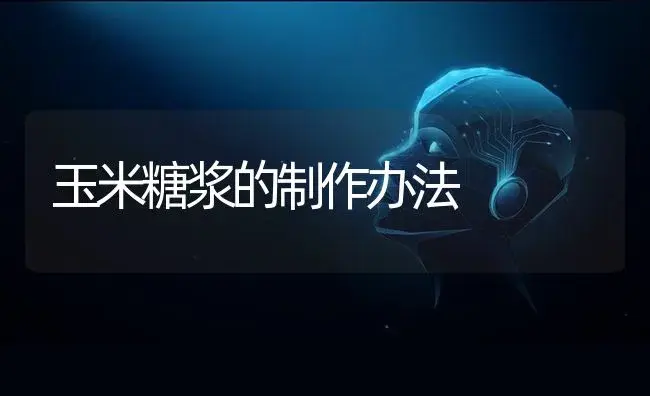 玉米糖浆的制作办法 | 蔬菜种植