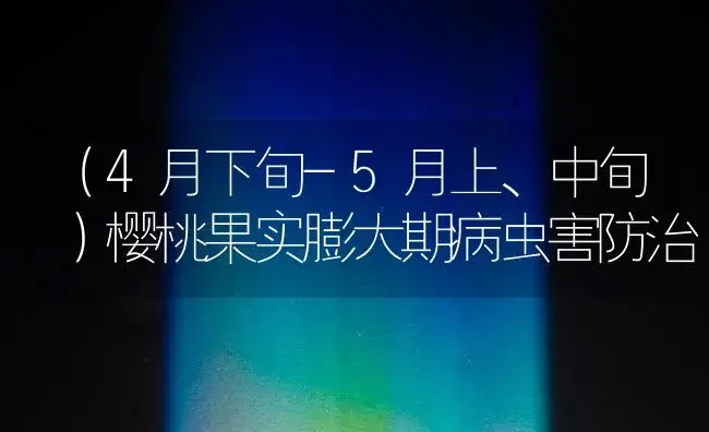 （4月下旬-5月上、中旬）樱桃果实膨大期病虫害防治 | 植物病虫害