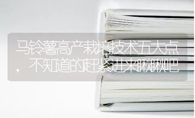 马铃薯高产栽培技术五大点，不知道的赶紧进来瞅瞅吧 | 蔬菜种植