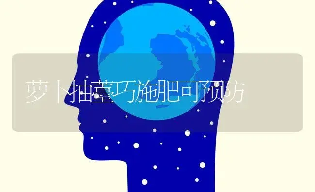 萝卜抽薹巧施肥可预防 | 蔬菜种植