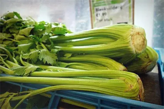 2018年种芹菜赚钱吗?价格行情如何?种一亩大约赚多少钱?（附最新价格）