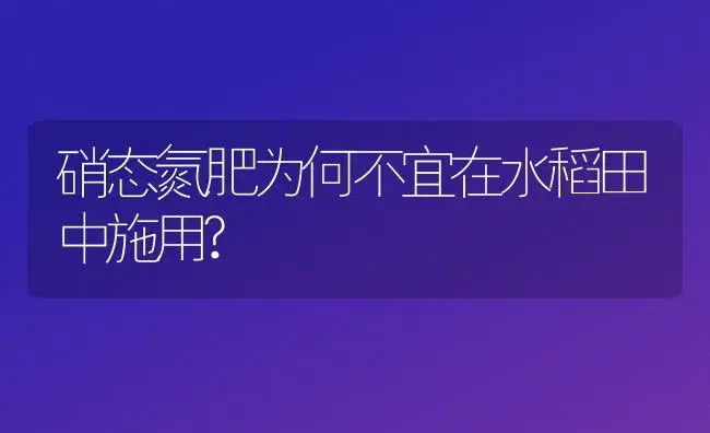 硝态氮肥为何不宜在水稻田中施用? | 植物肥料