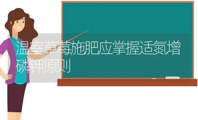 温室草莓施肥应掌握适氮增磷钾原则 | 植物肥料