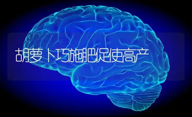 胡萝卜巧施肥促使高产 | 蔬菜种植