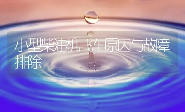 小型柴油机飞车原因与故障排除 | 农资农机