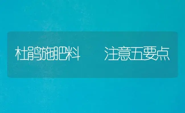 杜鹃施肥料  注意五要点 | 植物肥料