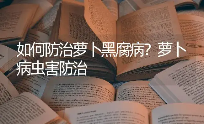 如何防治萝卜黑腐病？萝卜病虫害防治 | 蔬菜种植