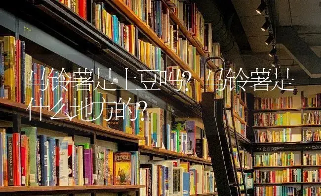 马铃薯是土豆吗？马铃薯是什么地方的？ | 蔬菜种植