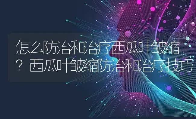 怎么防治和治疗西瓜叶皱缩？西瓜叶皱缩防治和治疗技巧 | 蔬菜种植