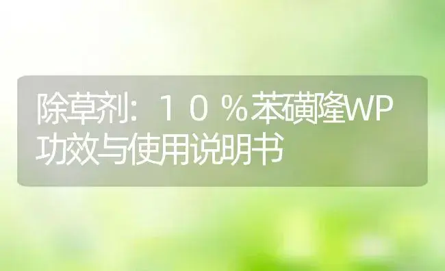 除草剂：10%苯磺隆WP | 适用防治对象及农作物使用方法说明书 | 植物农药